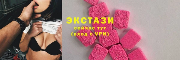 ECSTASY Бородино